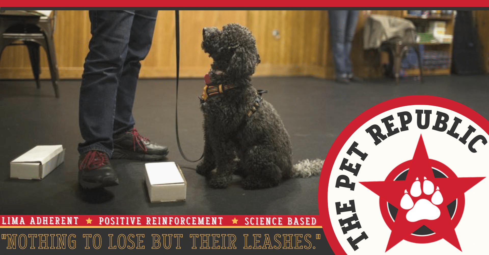 THE PET REPUBLIC Cambridge Dog Training