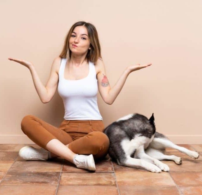 Level One Dog Training Level One Dog Training