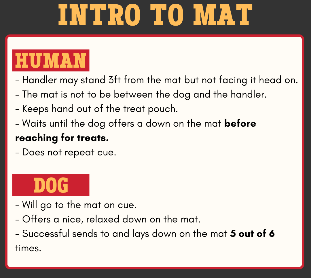 Level 2 - Intro to Mat