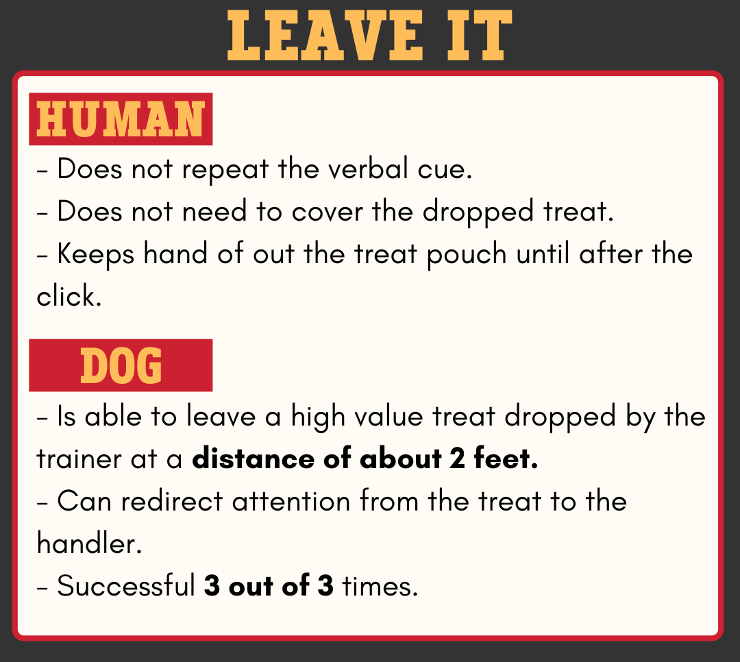 Level 2 - Leave It