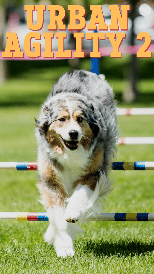 urban agility 2