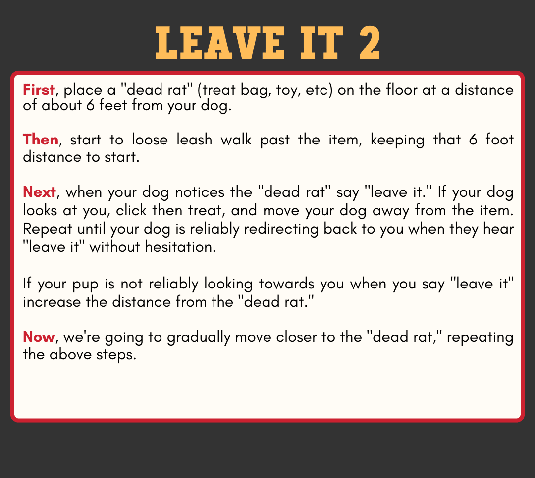 Level 2 Recall 2