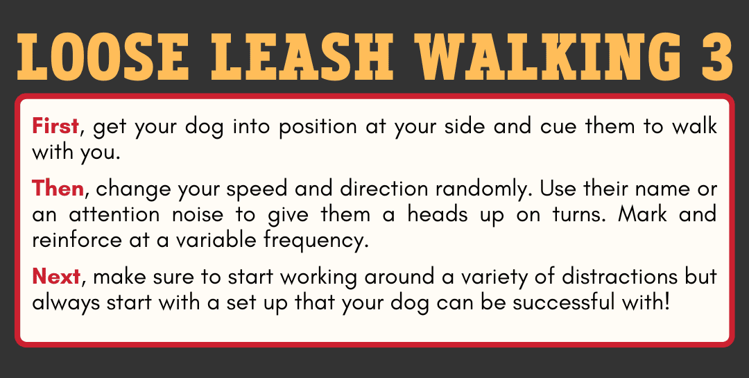 Level 2 - Loose Leash Walking