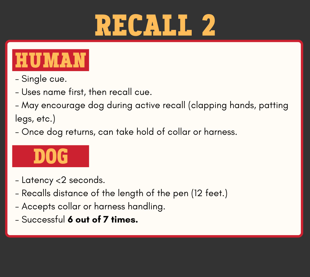 Level 2 Recall 2