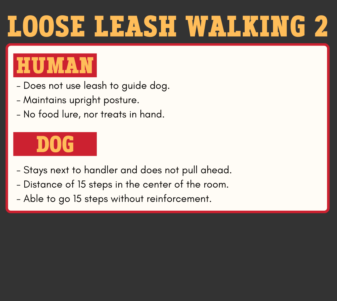 Level 2 - Loose Leash Walking